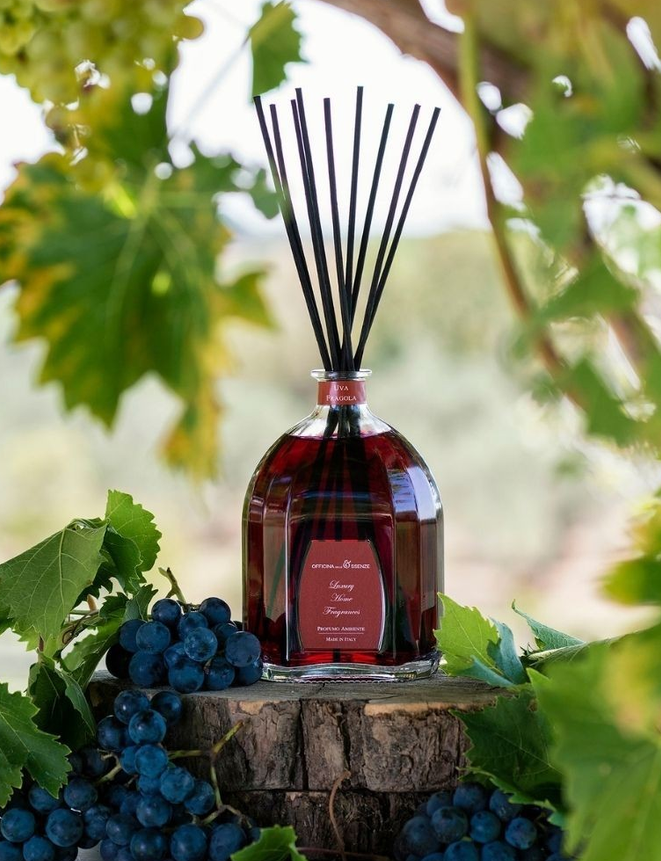 OFFICINA DELLE ESSENZE namų kvapas su lazdelėmis „Uva fragola“ 500 ml.