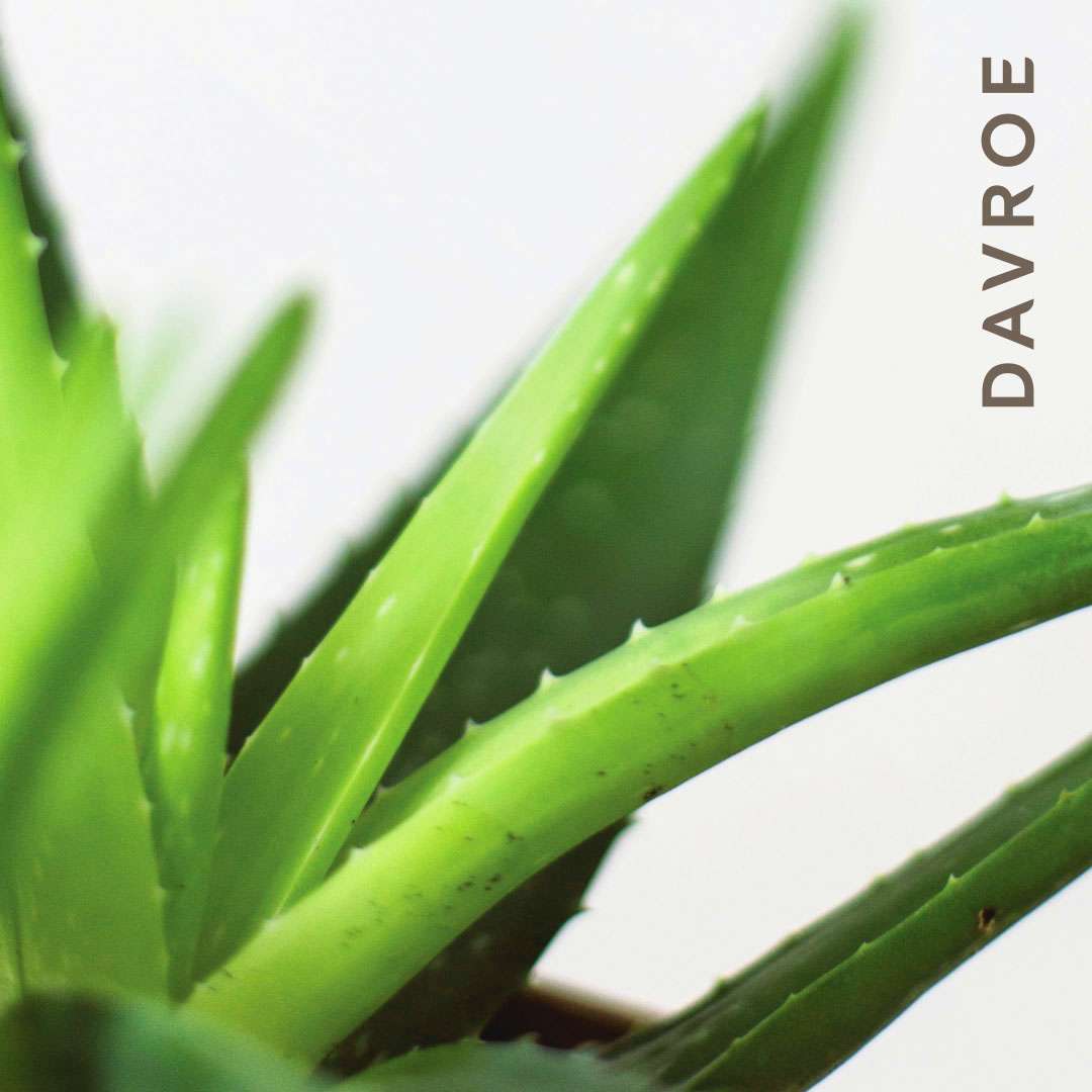 DAVROE Rebuilder - koncentruotas proteinų užpildas 200 ml.