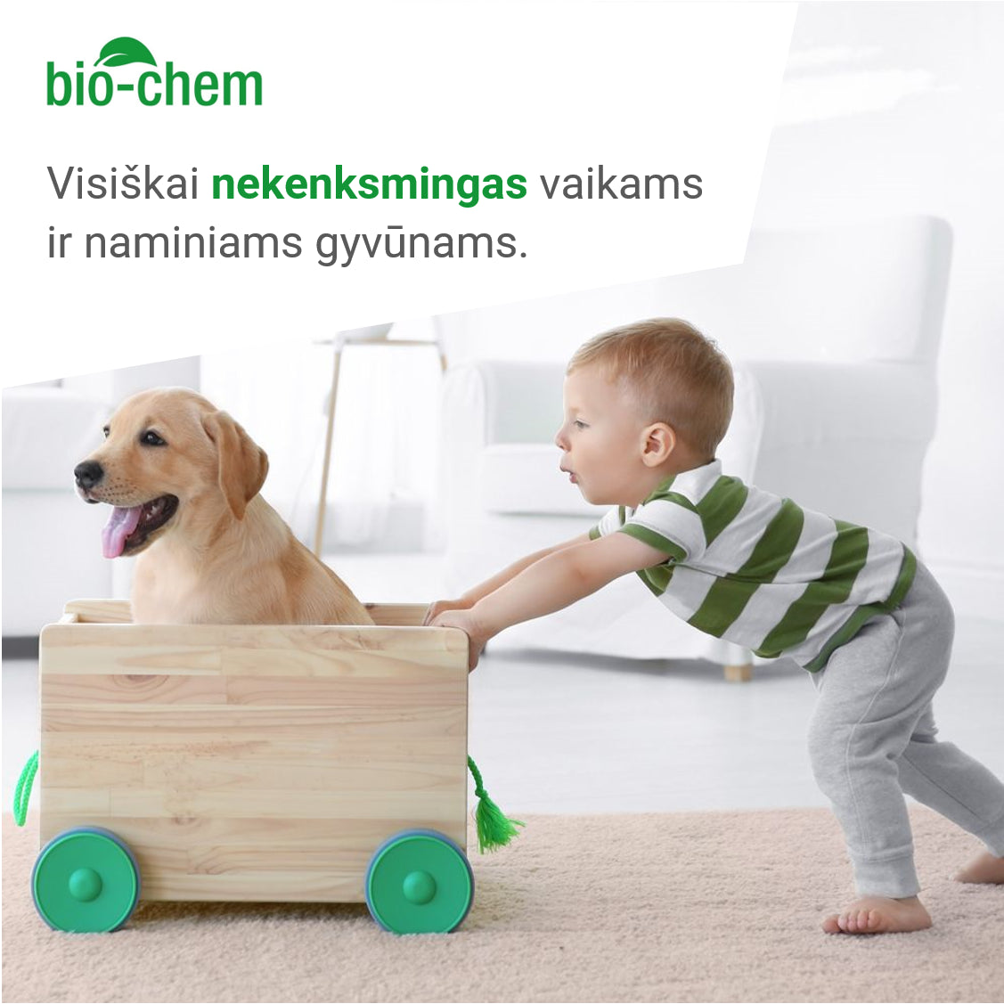 BIO-CHEM valiklis grindų plovimo robotams, 1 L