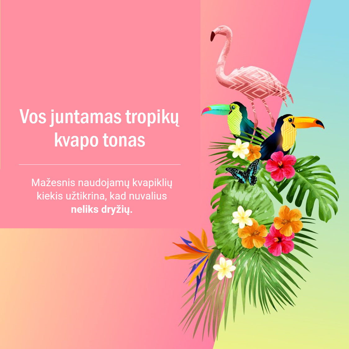 BIO-CHEM valiklis grindų plovimo robotams, 1 L