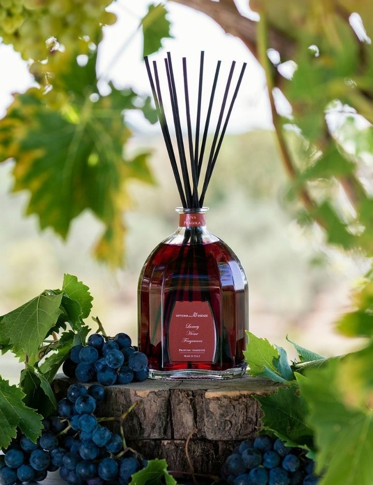 OFFICINA DELLE ESSENZE namų kvapas su lazdelėmis „Uva fragola“ 250 ml.