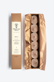 Kvapiosios žvakutės FRIGGA